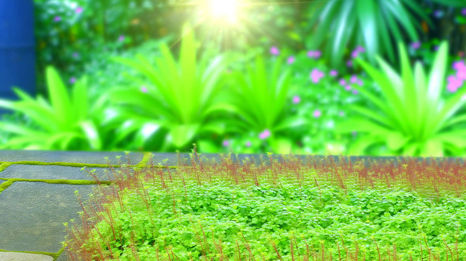 erba tappezzante giardino rigoglioso bassa manutenzione"